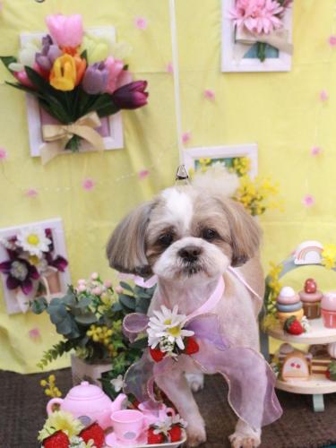 20230317じろうくん